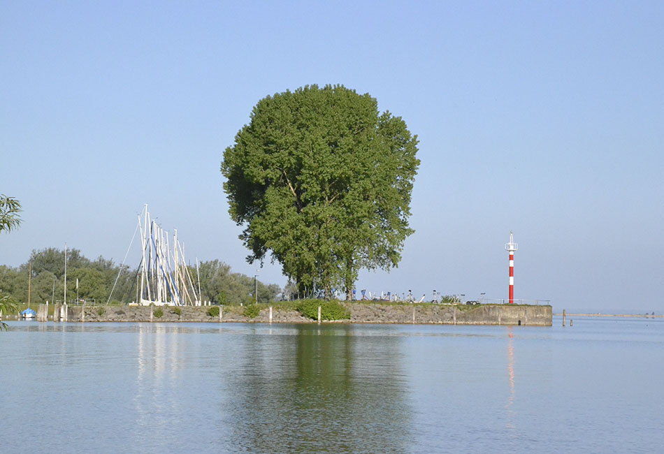 Bodensee mit grünem Baum und Leuchtturm im Hintergrund